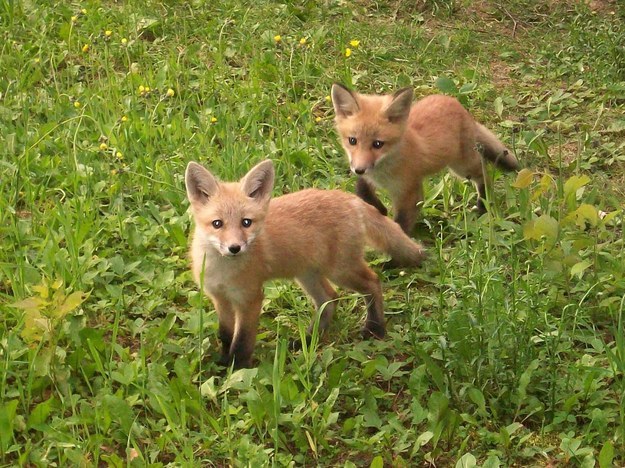 Just on our way to school!