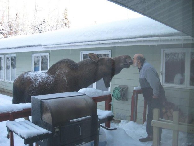 And lean in for a smooch? OK, this is too close, Canada. Too close.