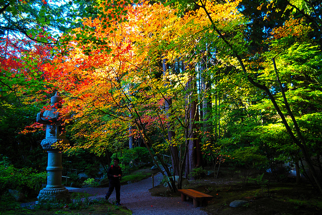 Nitobe Memorial Garden