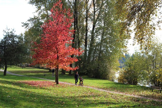 Burnaby Foreshore Park