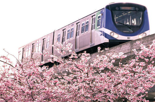 skytrain