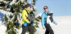 BC Family Day at Grouse Mountain - Image Courtesy of Grouse Mountain