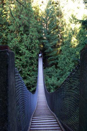 lynn_canyon2.JPG - Image via Wikipedia