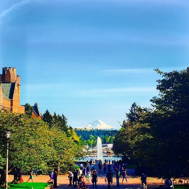 You&#39;ve taken more photos of Rainier Vista and the Quad than you&#39;d like to admit!