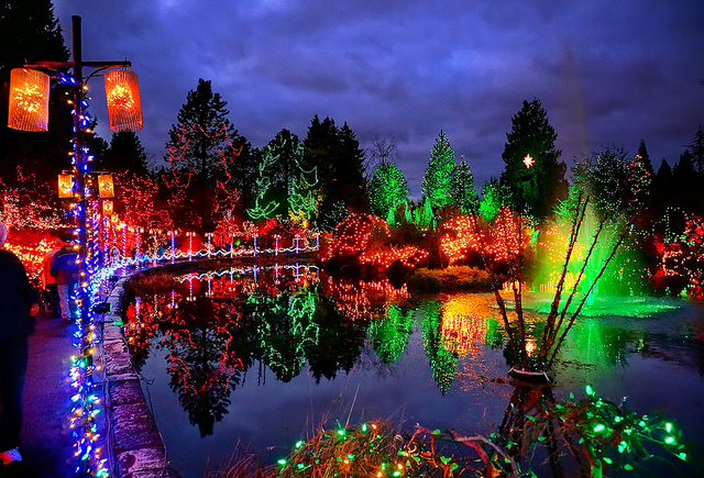 Happy Holidays! (VanDusen Botanical Garden at Night)