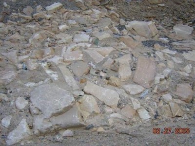 External - English