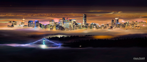 Foggy Night