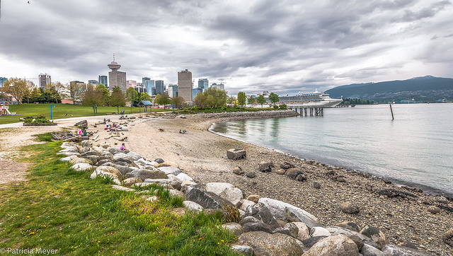 Crab Park Afternoon