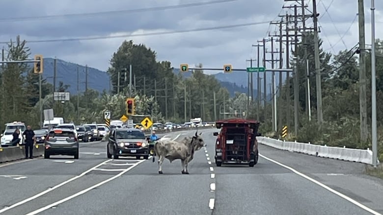 һ�^��ţվ�ڸ��ٹ�·���g���܇�������܇