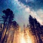 ���� / jolicaqu9