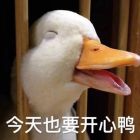  / SAGG333