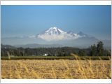 Mt. Baker