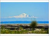 Centennial Beach, Tsawwassen