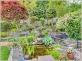 Backyard Garden