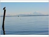 Centennial Beach, Tsawwassen