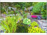 Backyard Garden Fish Pond