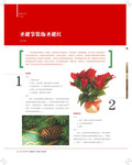 images/magazine/201112/p34.jpg