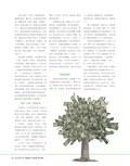images/magazine/201201/p22.jpg