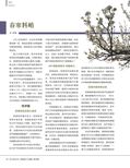 images/magazine/201205/p12.jpg