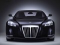 Exelero.jpg