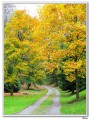 autumn2.jpg