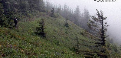 һ¹ۿͼƬ
 ============== 
ɽ
6ELK MOUNTAIN
ؼ: 6  ELK MOUNTAIN