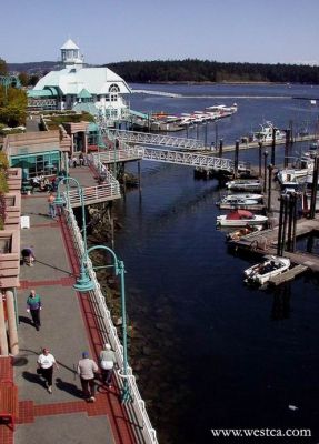 һ^DƬ
 ============== 
Nanaimoa^
8z출ظAuNanaimo
PI: B  8 ظAu   Nanaimo