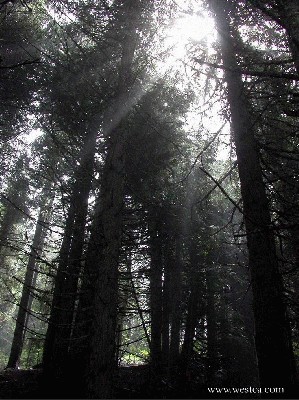 һ¹ۿͼƬ
 ============== 
ֹâ
6ELK MOUNTAIN
ؼ: 6  ELK MOUNTAIN