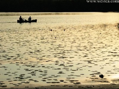 һ¹ۿͼƬ
 ============== 

»ƻ¹
ؼ:   ƻ  ¹