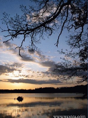 һ¹ۿͼƬ
 ============== 

»ƻ¹
ؼ:   ƻ  ¹