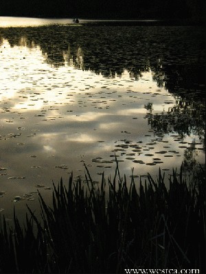 һ¹ۿͼƬ
 ============== 

5»ƻ¹
canon g3
ؼ: 5  ƻ  ¹