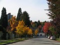 user206784_pic6746_1288248297.jpg