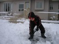 snow1.jpg