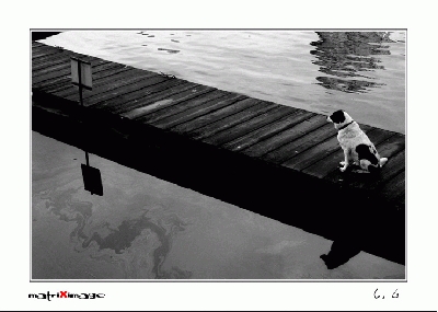 һ^DƬ
 ============== 
Thinking
