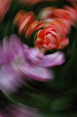 һ^DƬ
 ============== 
