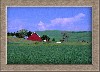 Palouse1 copy.jpg