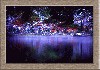 fallcolor3 copy.jpg