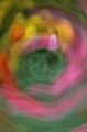 tulips2.jpg