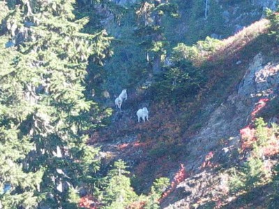 һ¹ۿͼƬ
 ============== 
ؼ: Mt.£ɽ