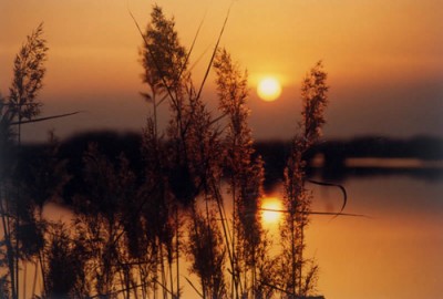��һ���^�������DƬ
 ============== 
