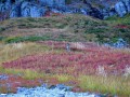 Re-exposure of IMG_0086.JPG