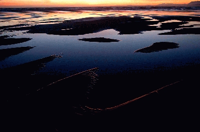 һ¹ۿͼƬ
 ============== 
LongBeach, PacificRim NP
