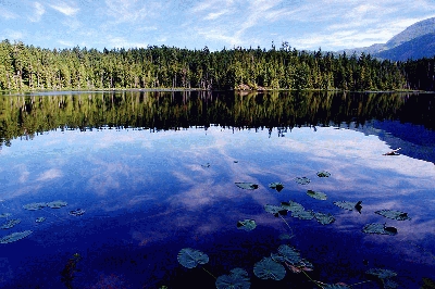 һ¹ۿͼƬ
 ============== 
Brown Lake, Sunshine Coast
Brown Lake, Sunshine Coast
