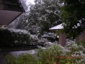 DSCN2791.JPG