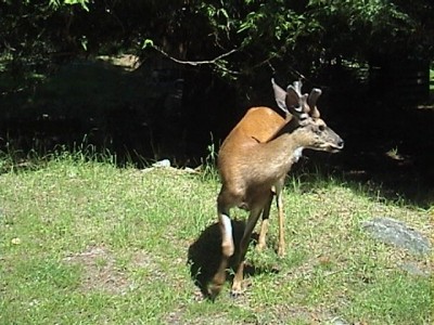 һ¹ۿͼƬ
 ============== 
ԣ¹ͷ
