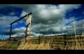 DSC00443.jpg