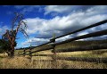 DSC00453.JPG