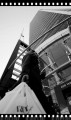 dsc01513.jpg