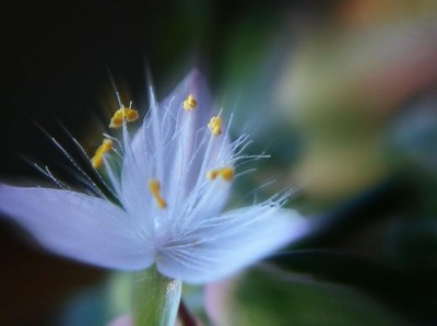 һ^DƬ
 ============== 
Ady _
