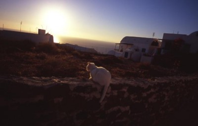 һ^DƬ
 ============== 
Cindy: Ϡϵ؈
